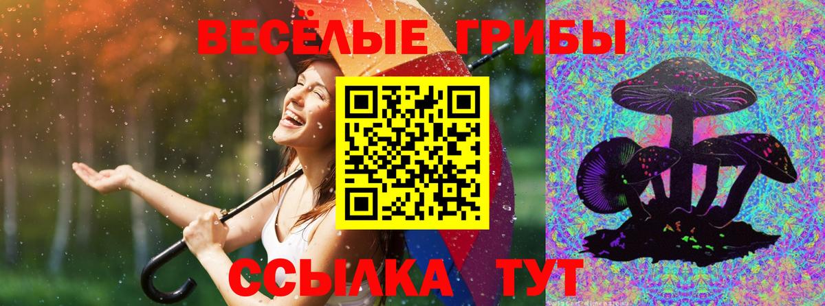 Псилоцибиновые грибы Magic Shrooms  Вход с VPN  Ейск  Галлюциногенные грибы GOLDEN TEACHER 
